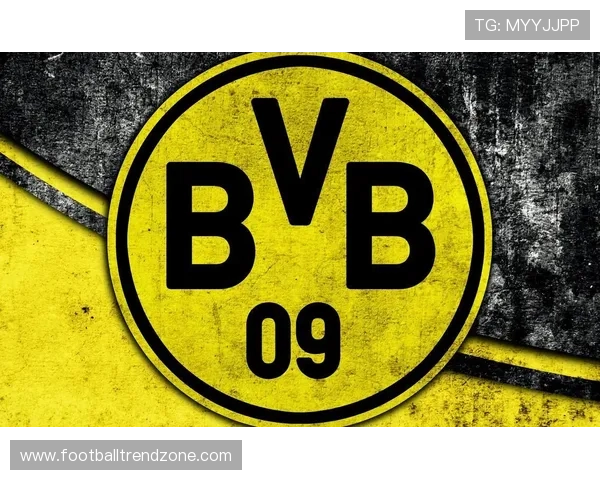 美因茨05俱乐部发展历程与未来战略全景解析